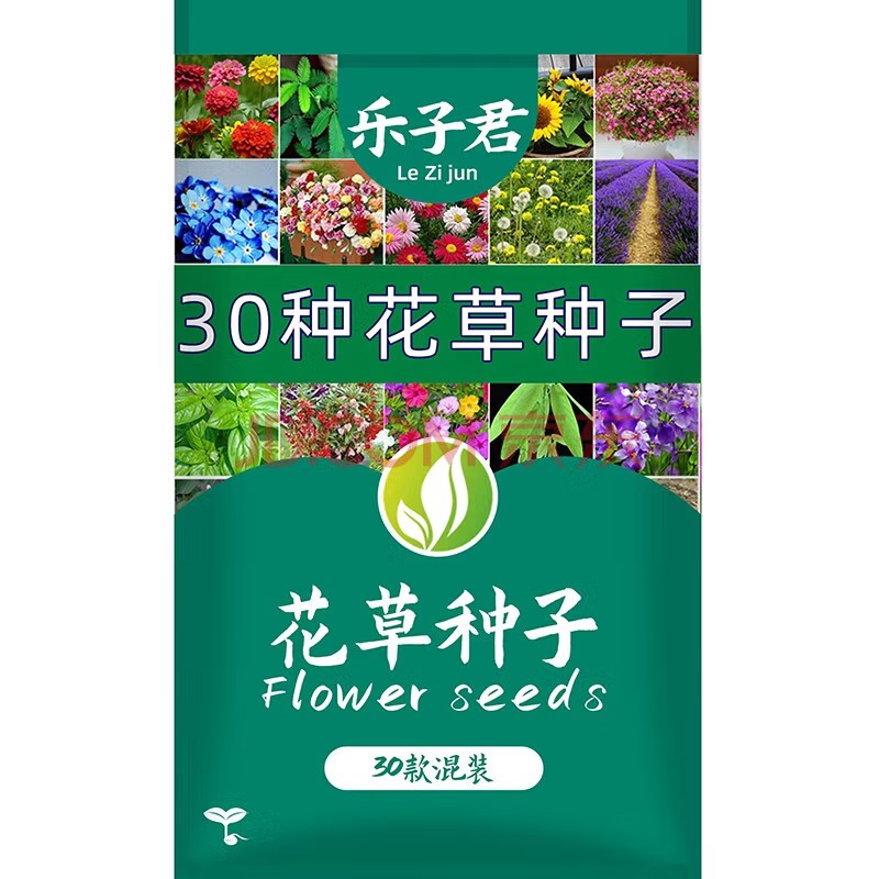 乐子君 种子 花卉种子 花草种子